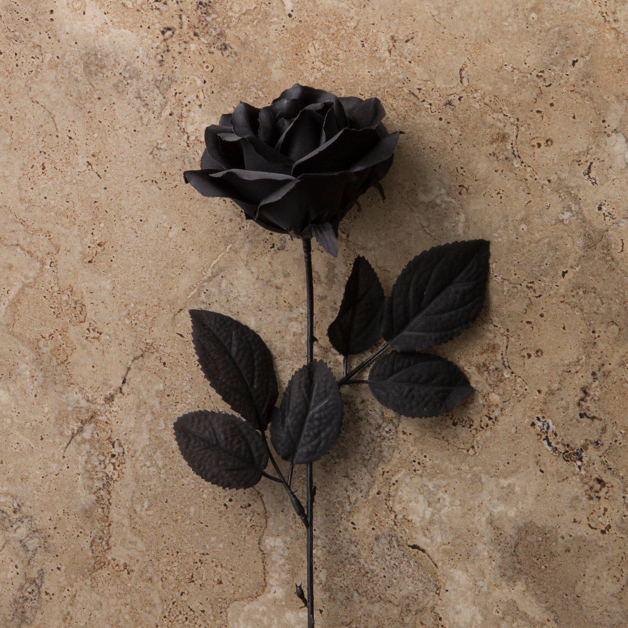 12 Pack: Black Open Rose Stem by Ashland™